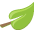 product-detail-leaf.png