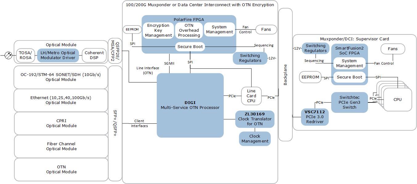 100/200G Muxponder or DCI with OTN Encryption | Microsemi