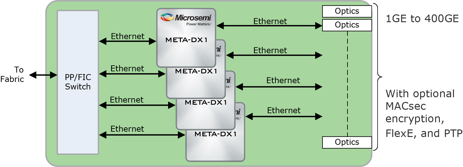 META-DX1 HIgh-Capacity Router or Switch Line Card